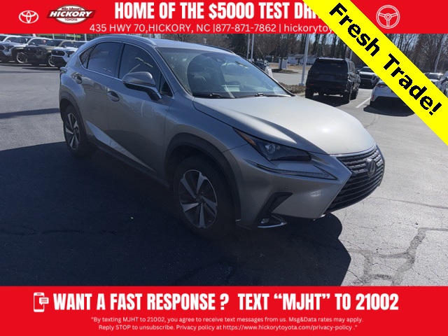 2019 Lexus NX Hybrid 300h