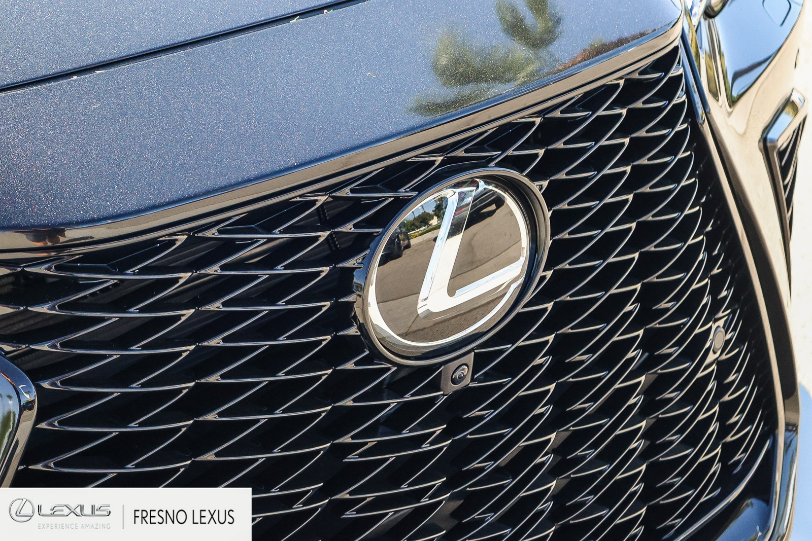 2026 Lexus NX 350h F SPORT Handling AWD photo 10