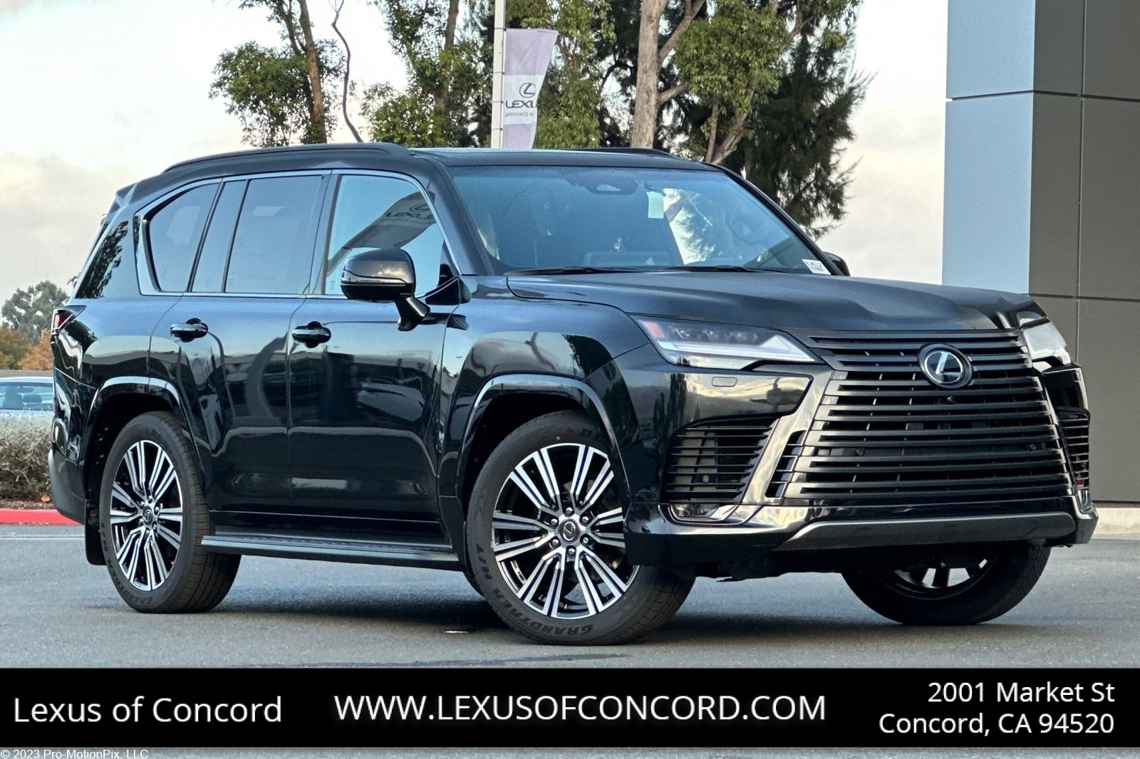 2025 Lexus LX Luxury's photo