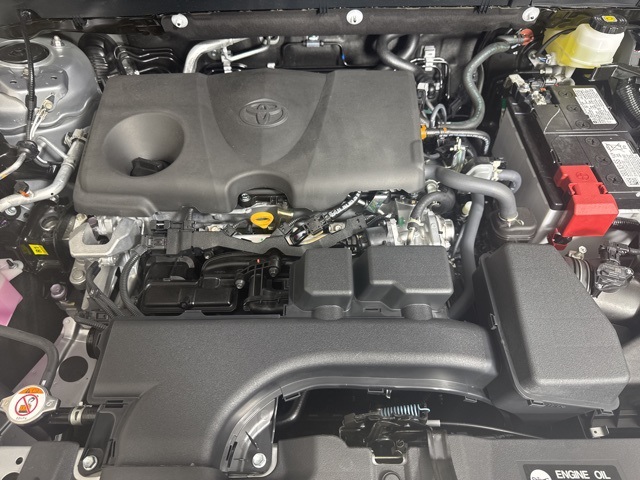 2025 Toyota RAV4 XLE photo 9