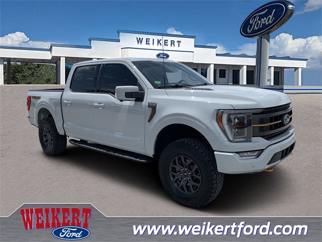 2023 Avalanche Gray Ford F-150 Tremor Truck