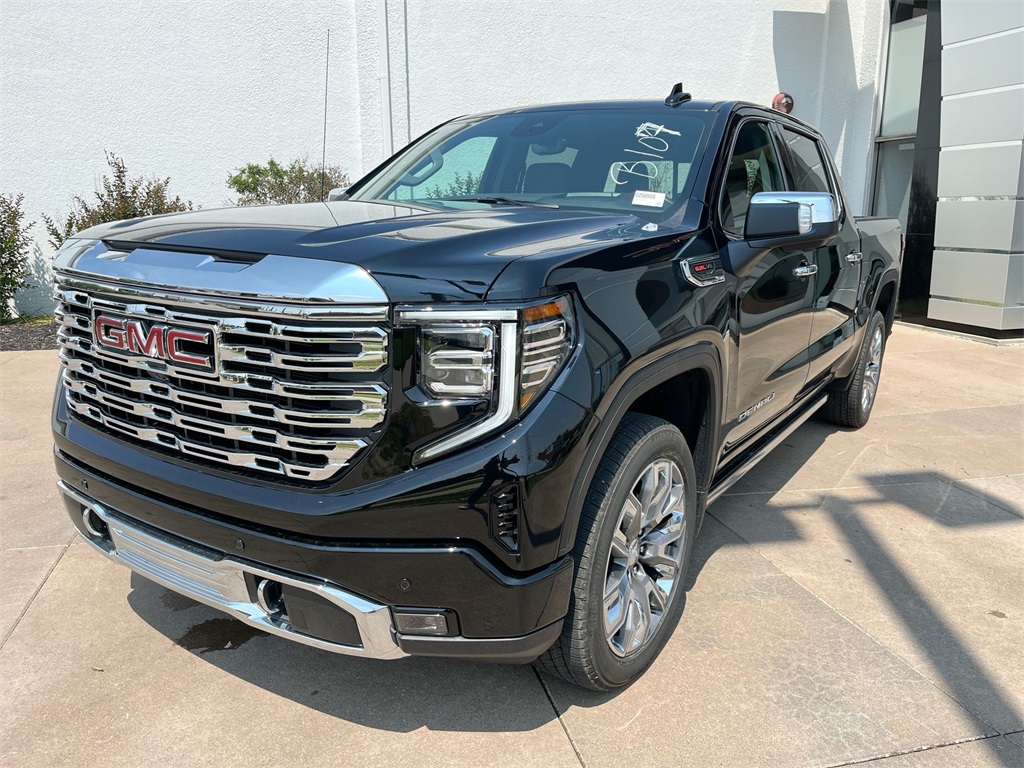 2025 Gmc Sierra 1500 Denali photo 2