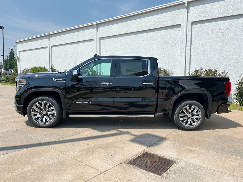 2025 Gmc Sierra 1500 Denali photo 3