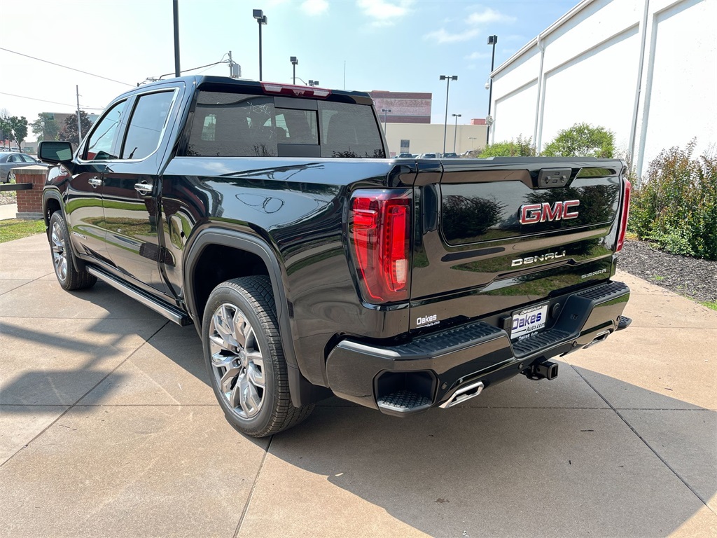 2025 Gmc Sierra 1500 Denali photo 4