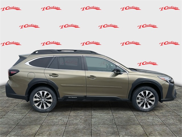 Outback Limited