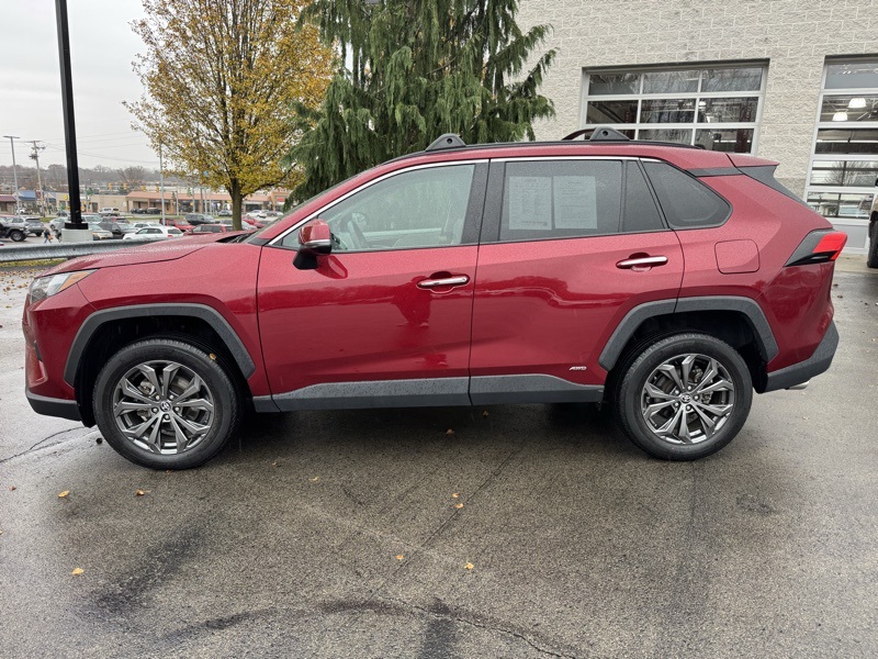 2023 Toyota RAV4 Hybrid Limited photo 4