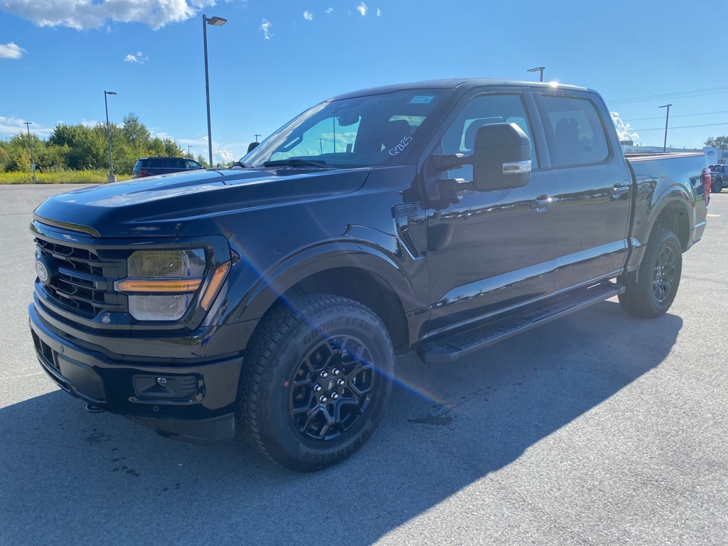 2025 Ford F-150 XLT photo 6