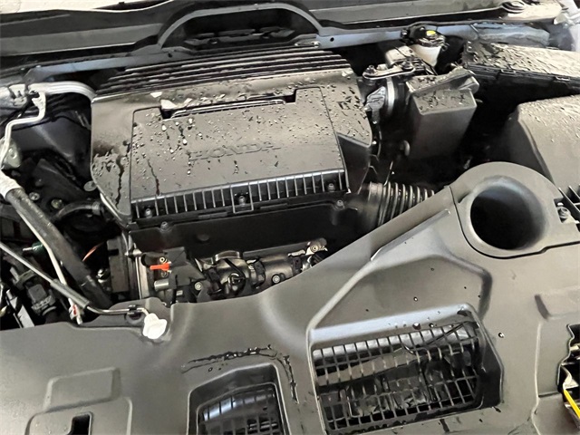 2025 Honda Pilot TrailSport photo 12