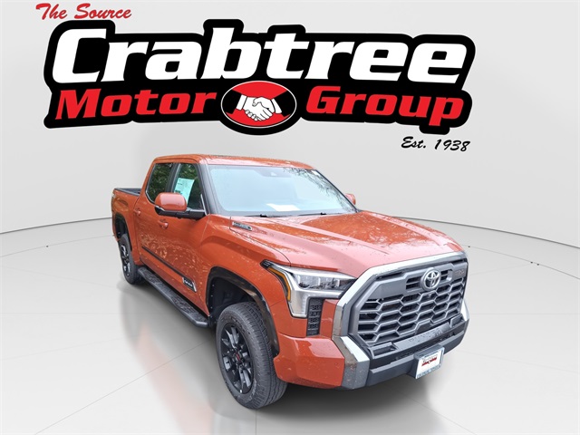 2025 Toyota Tundra Platinum's photo