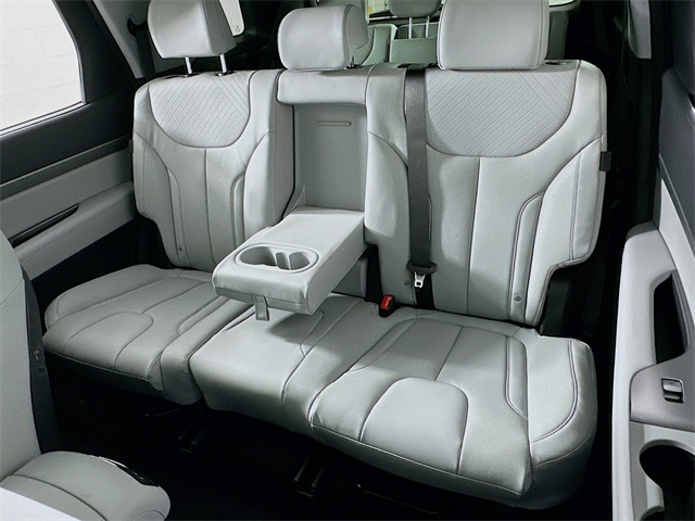 Palisade SEL Premium
