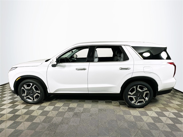 Palisade SEL Premium