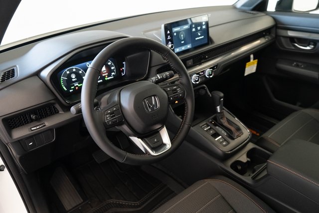 Image-3