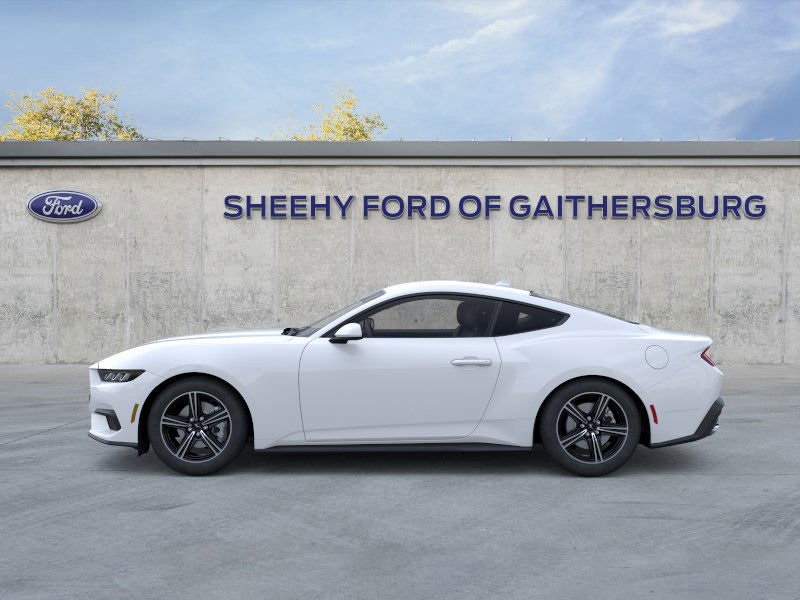 2025 Ford Mustang EcoBoost photo 3