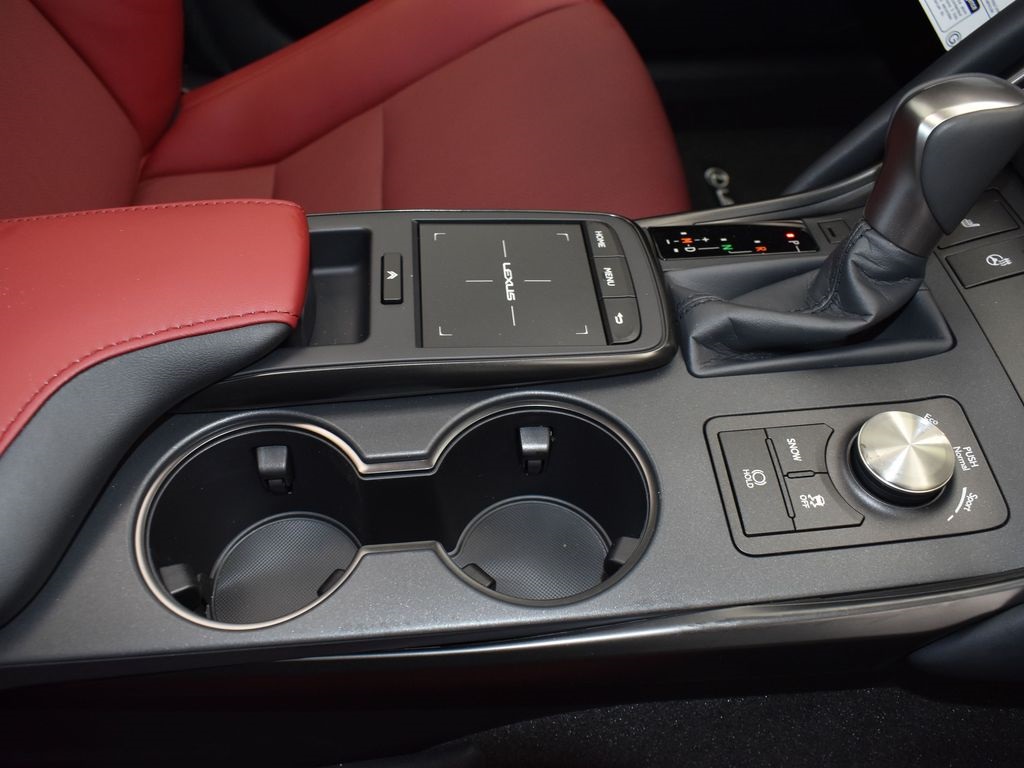 2025 Lexus IS 350 F SPORT photo 23