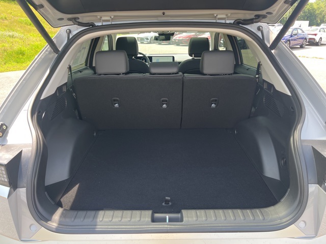2025 Hyundai Ioniq 5 Limited photo 10