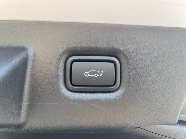 2025 Hyundai Ioniq 5 Limited photo 8
