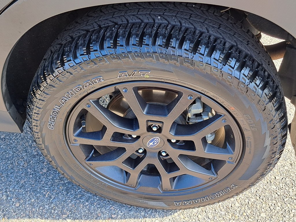 2024 Subaru Crosstrek Wilderness SUV AWD 31