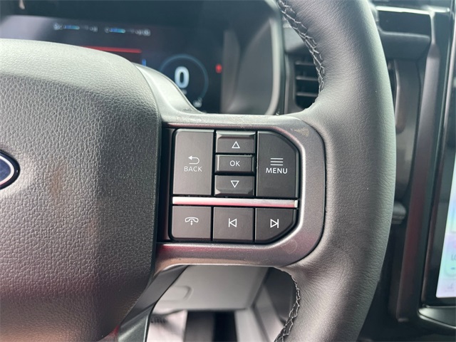 2025 Ford F-150 Lightning photo 16