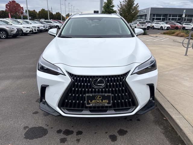 2026 Lexus NX 350 photo 2