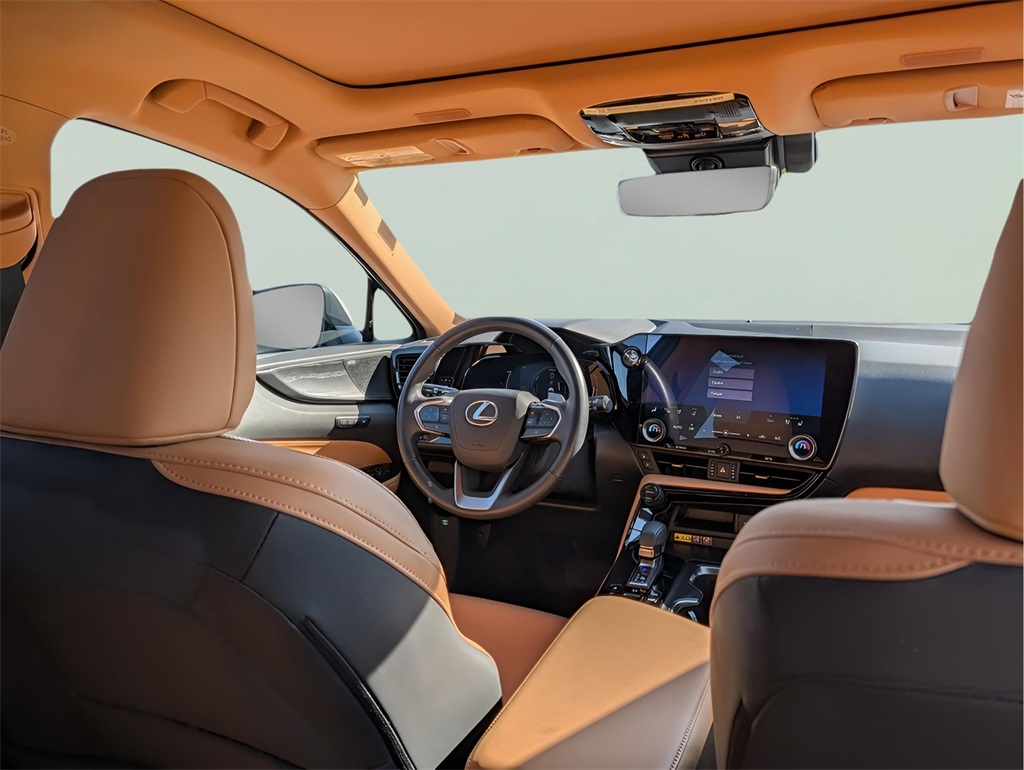 2025 Lexus NX 450h+ Luxury AWD photo 8
