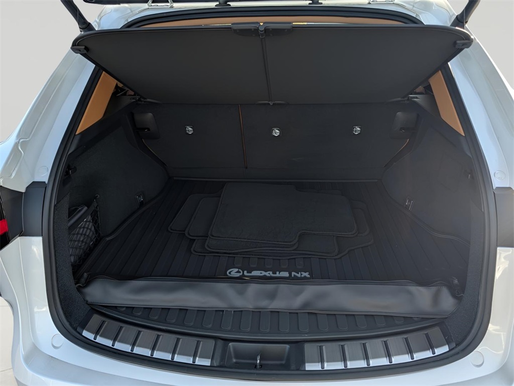 2025 Lexus NX 450h+ Luxury AWD photo 9