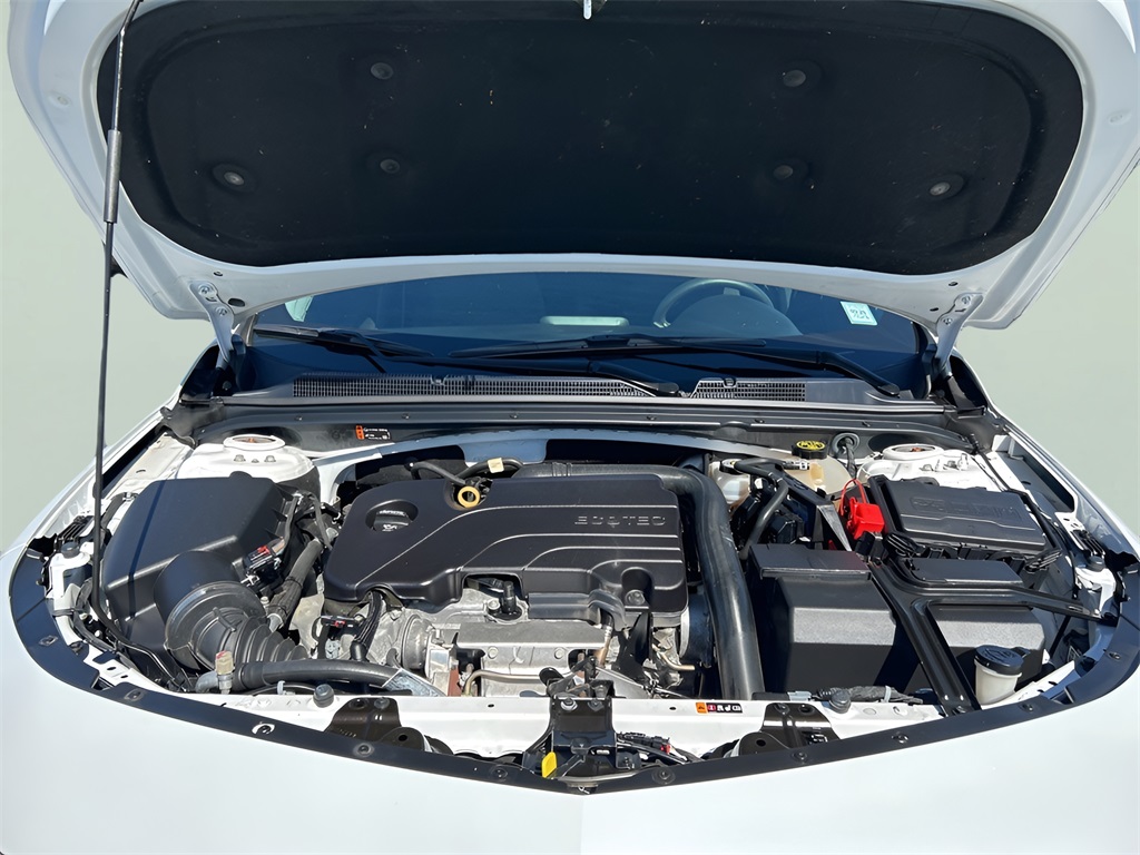 2019 Chevrolet Malibu 1LT photo 3