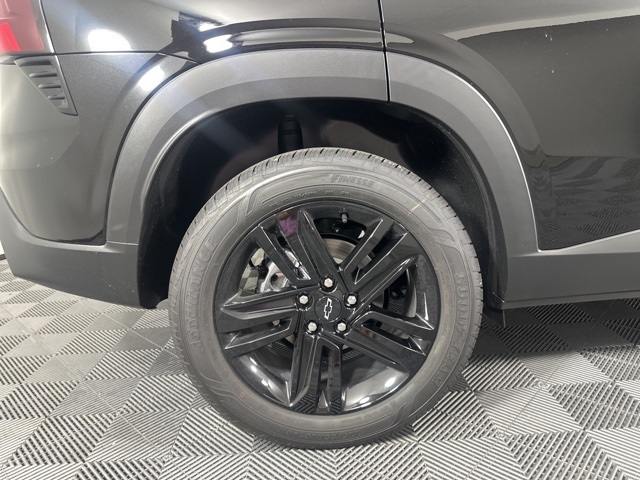 Image-10