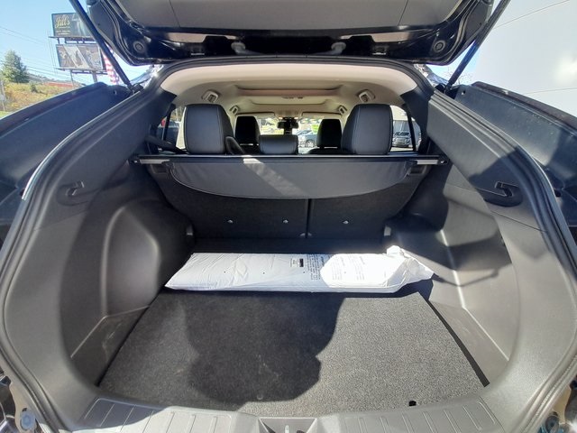 View 61