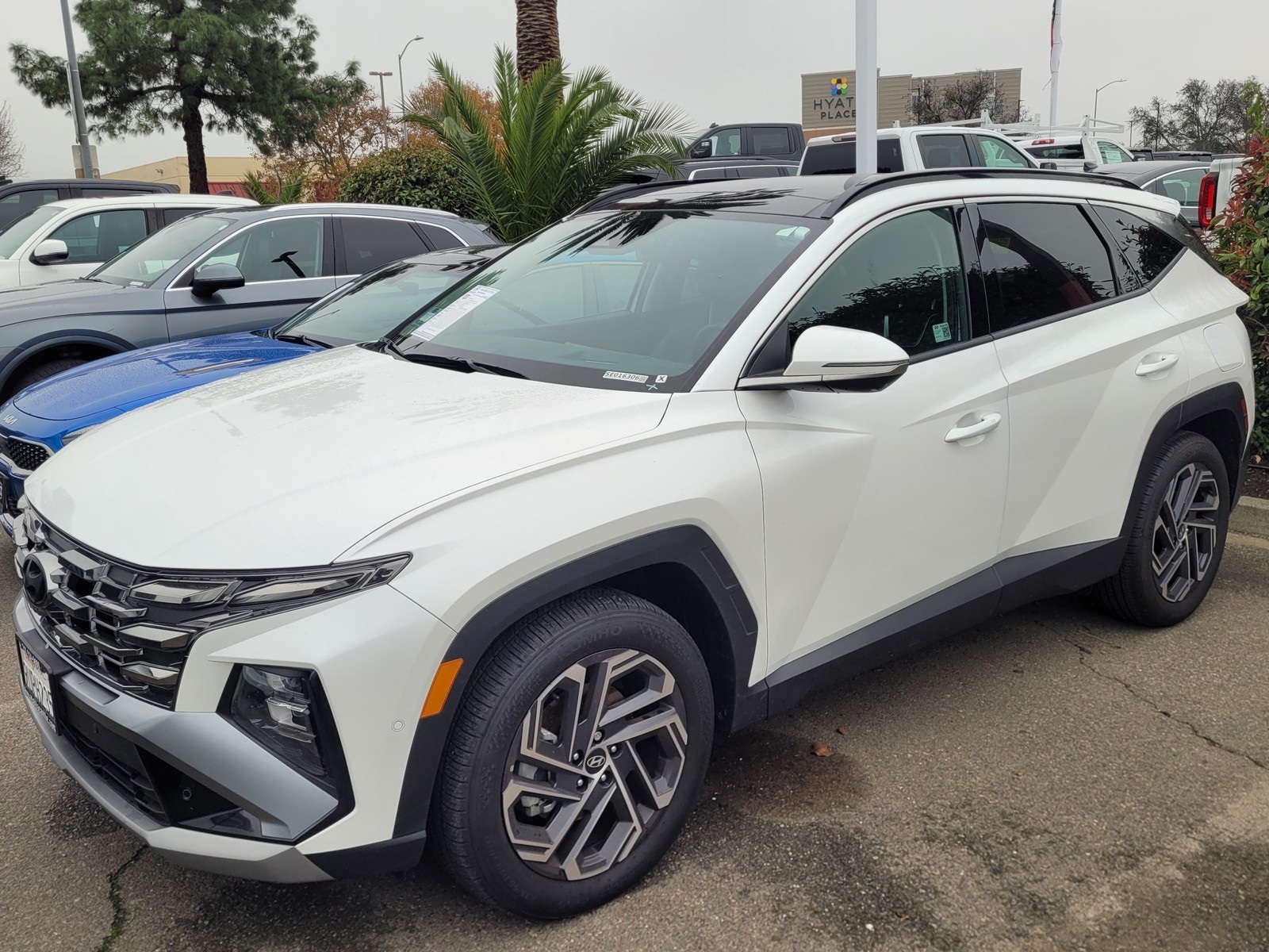 2025 Hyundai Tucson Limited's photo