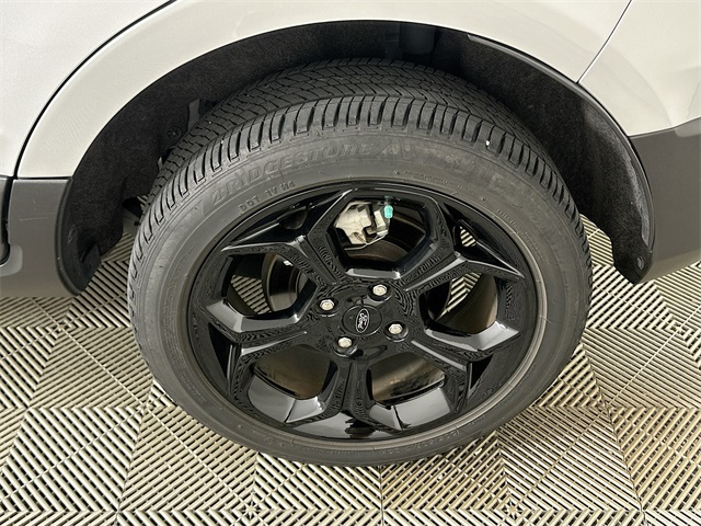 EcoSport SES