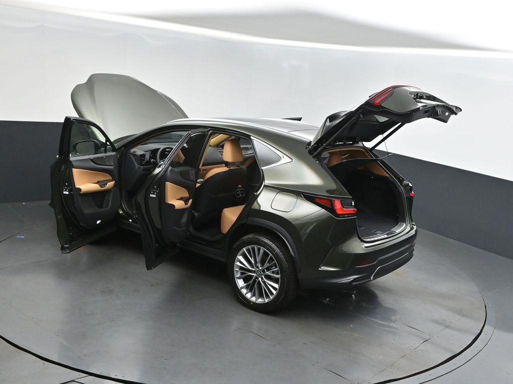 2026 Lexus NX 350 Luxury AWD photo 2