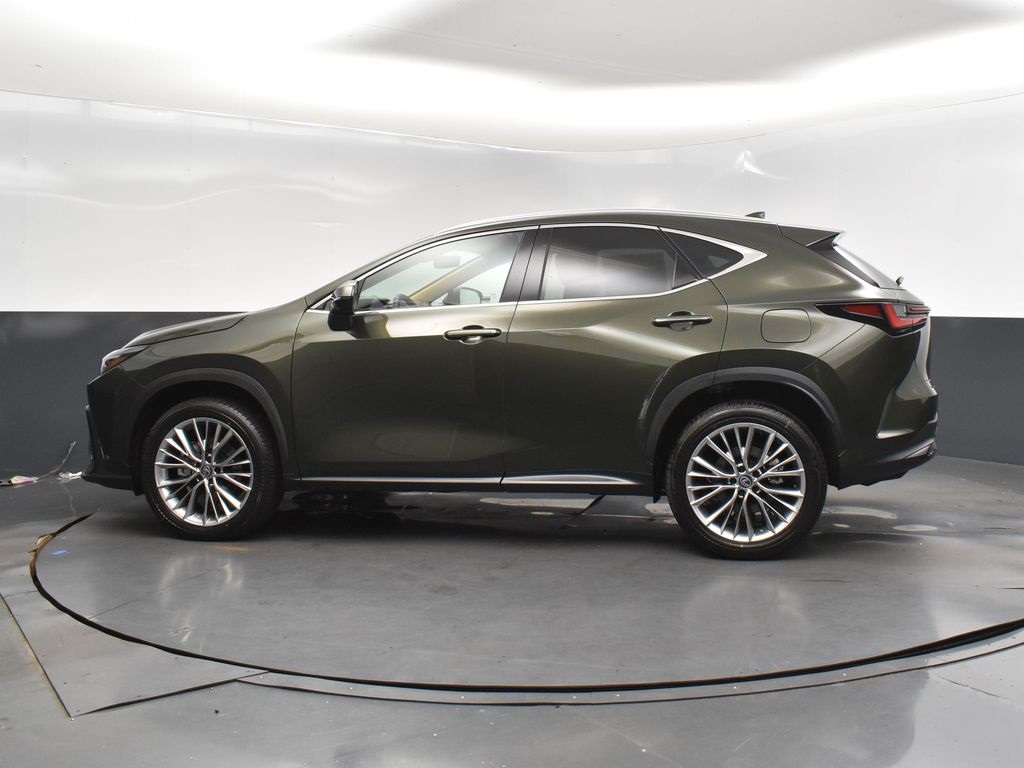 2026 Lexus NX 350 Luxury AWD photo 4