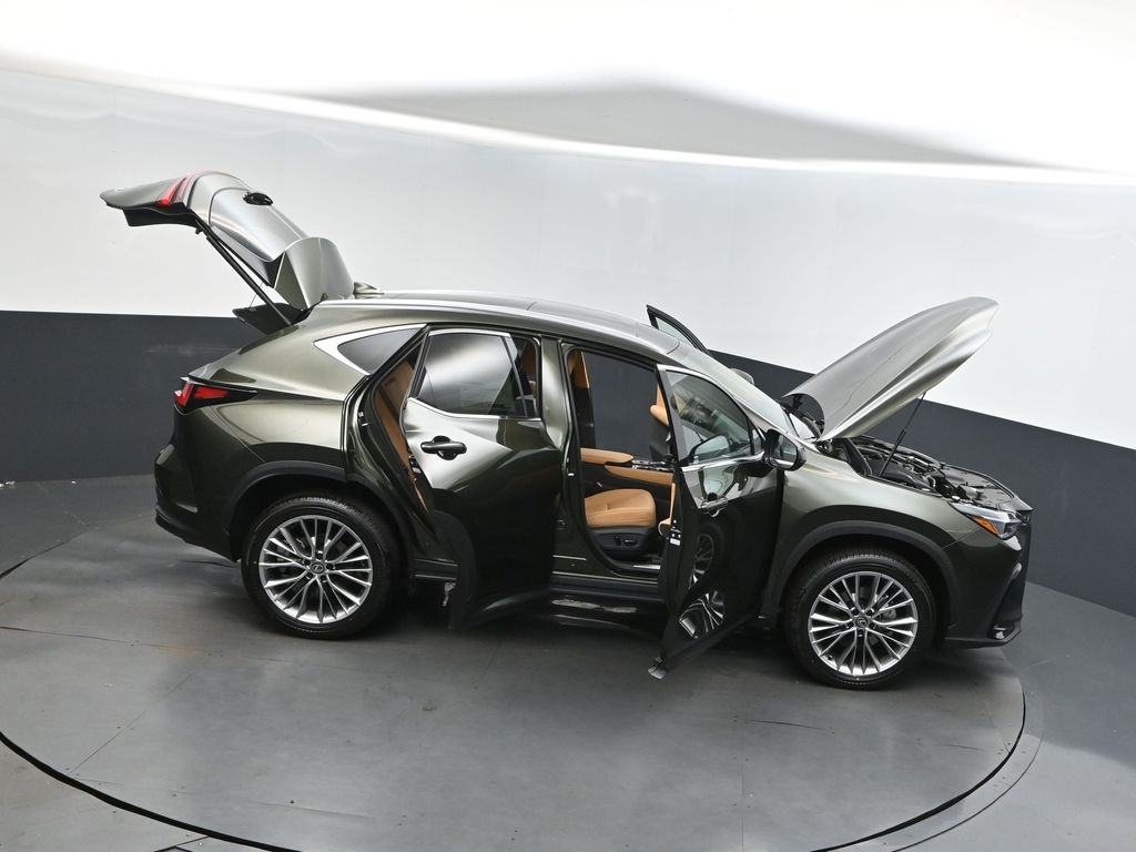 2026 Lexus NX 350 Luxury AWD photo 47