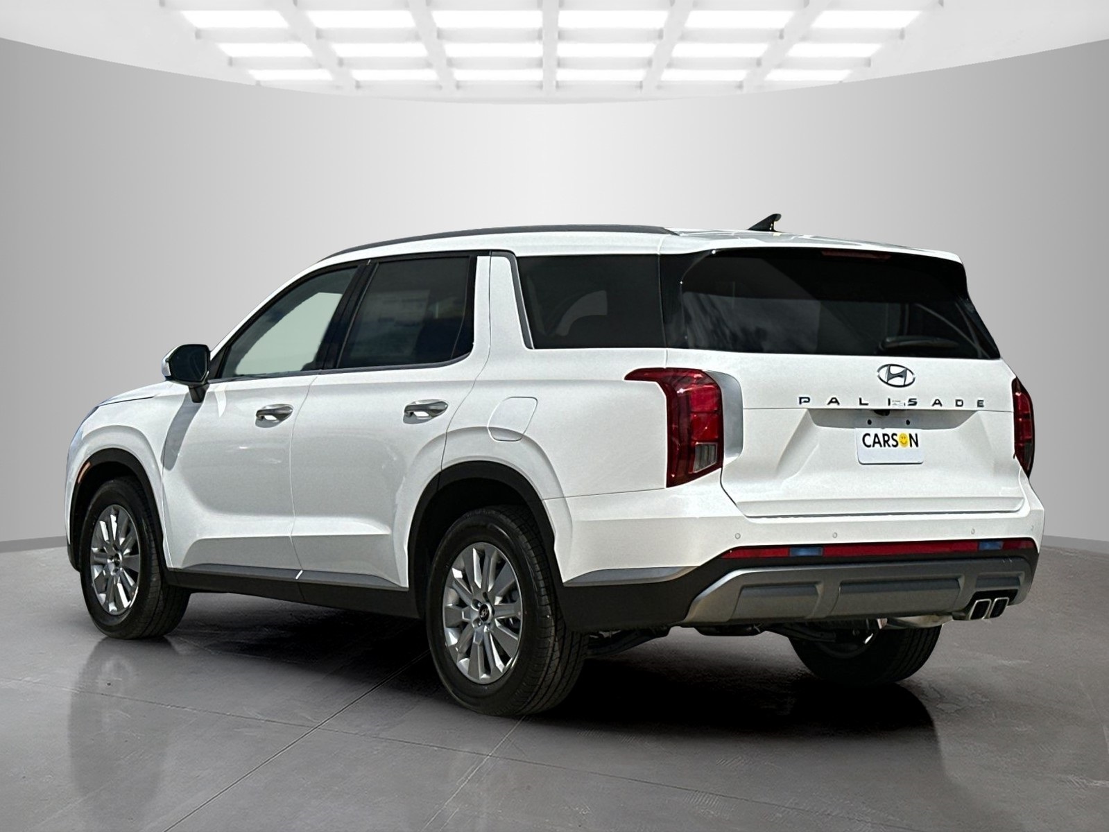Palisade SEL