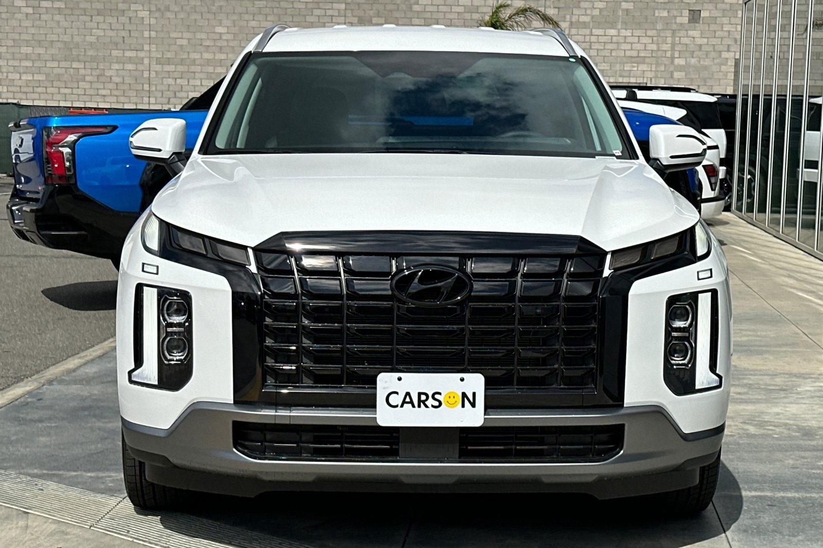 Palisade SEL