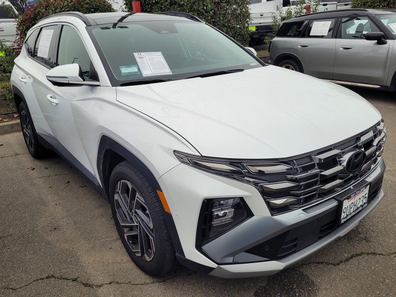 2025 Hyundai Tucson Limited's photo