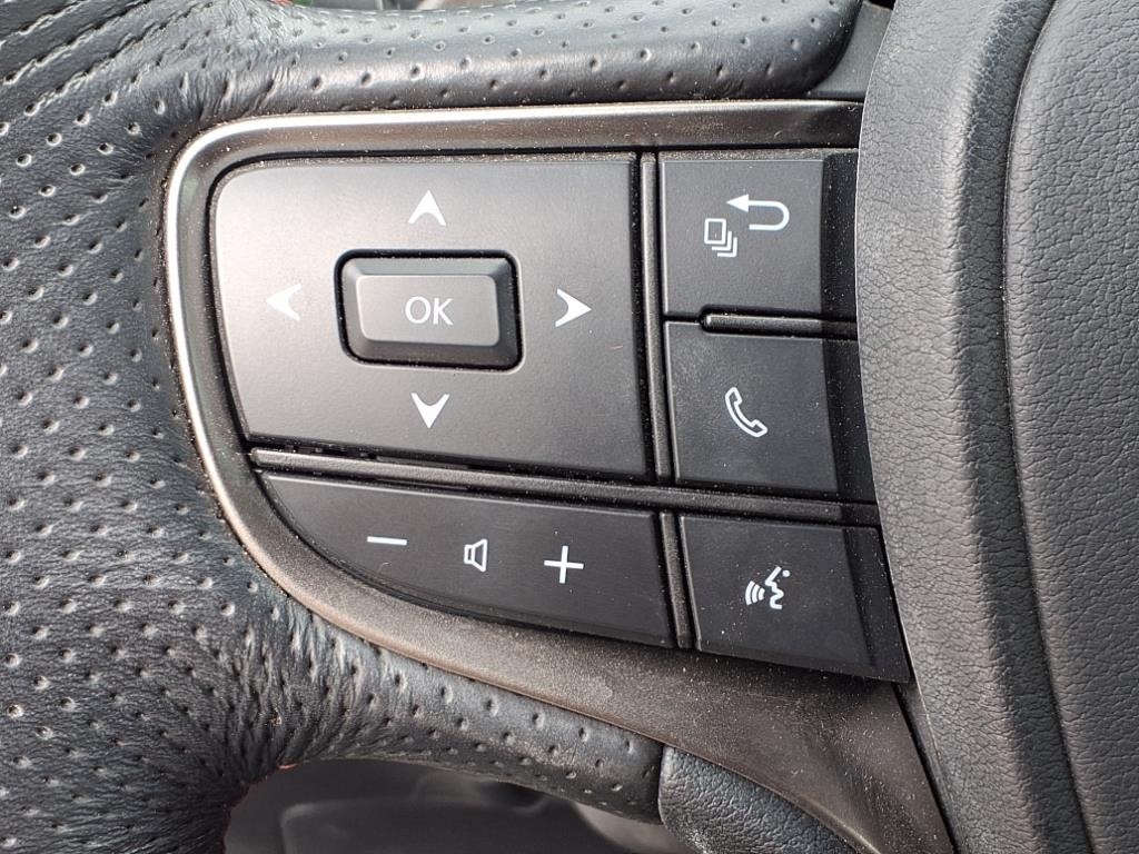 2024 Lexus UX 250h F SPORT Handling photo 10