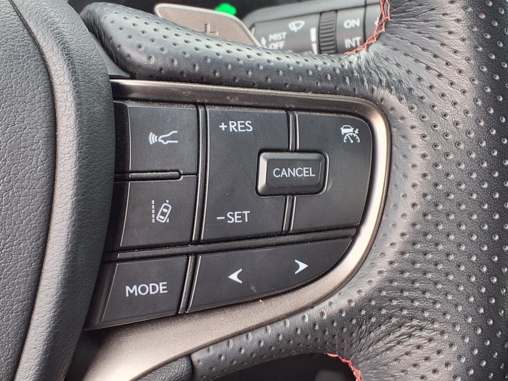 2024 Lexus UX 250h F SPORT Handling photo 11