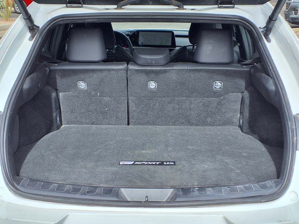 2024 Lexus UX 250h F SPORT Handling photo 21