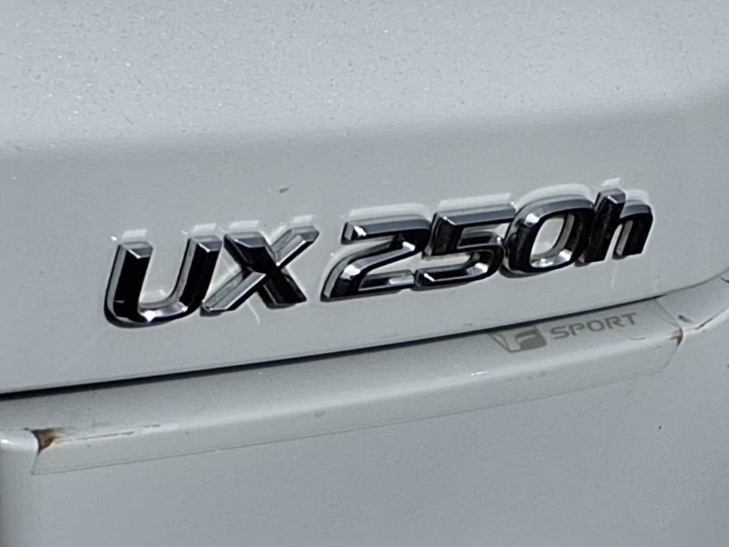2024 Lexus UX 250h F SPORT Handling photo 22