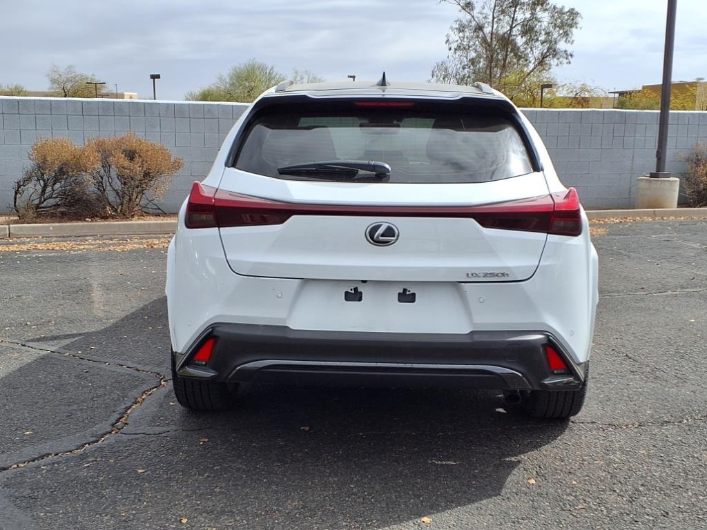 2024 Lexus UX 250h F SPORT Handling photo 5