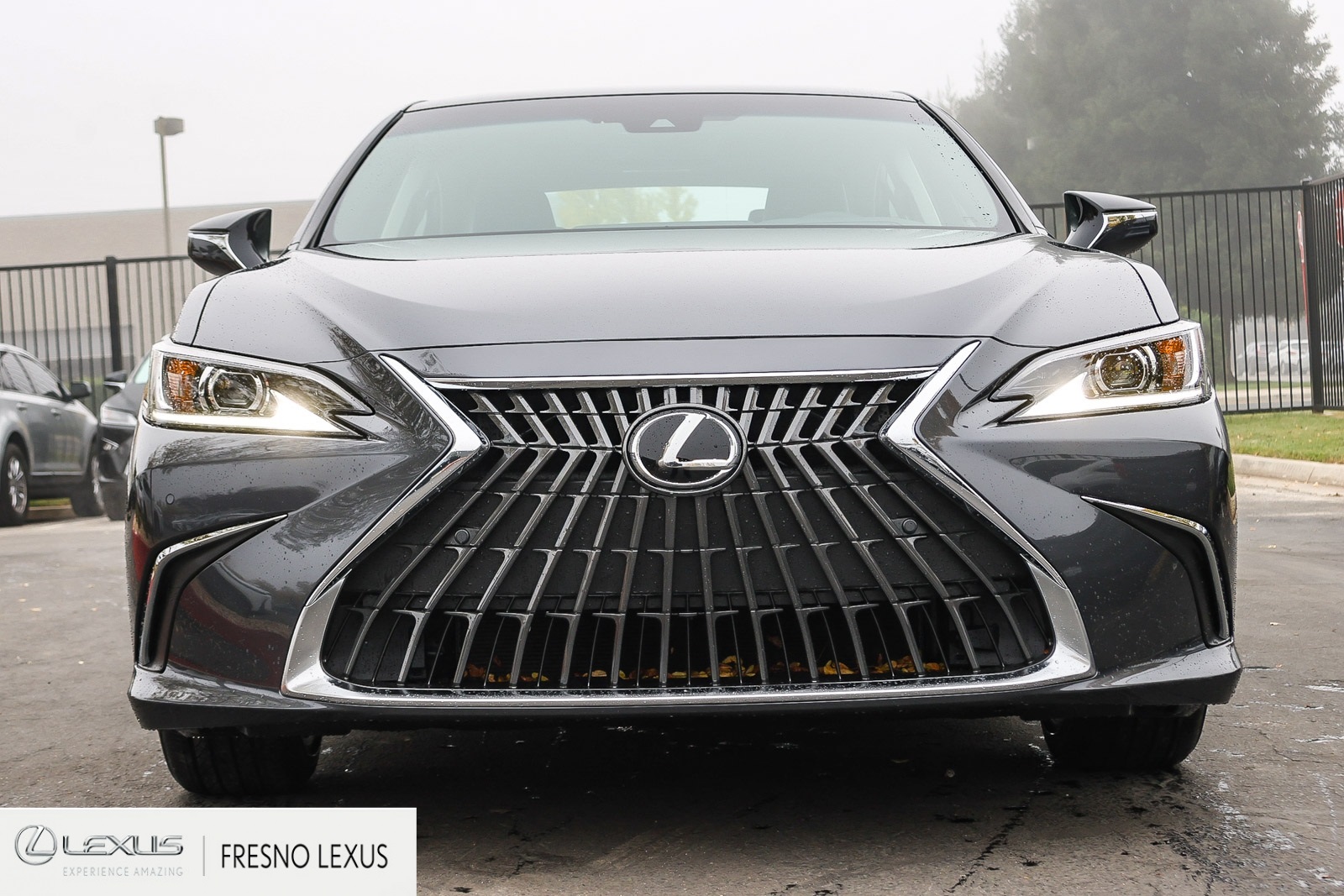 2025 Lexus ES 350 photo 2