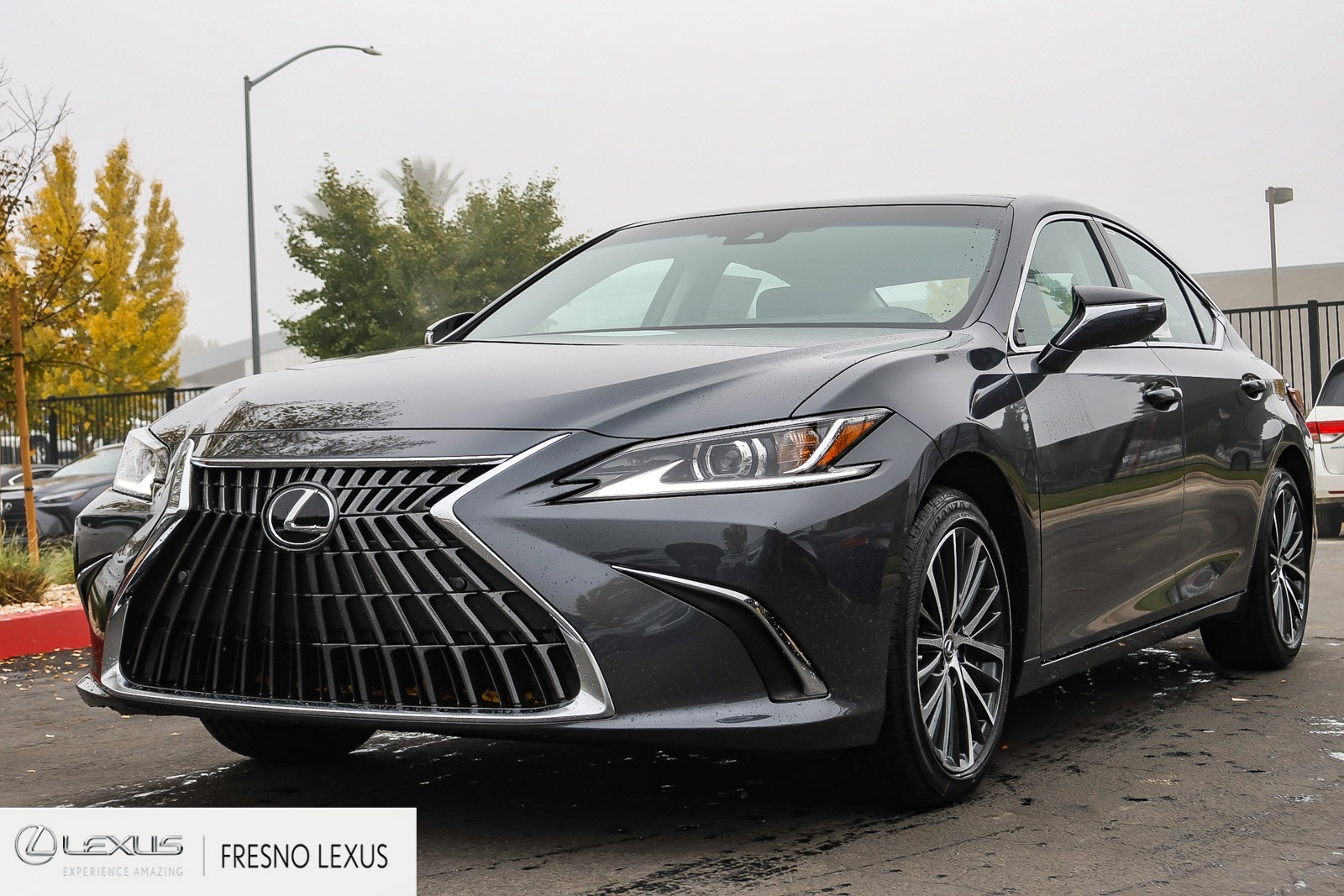 2025 Lexus ES 350 photo 3