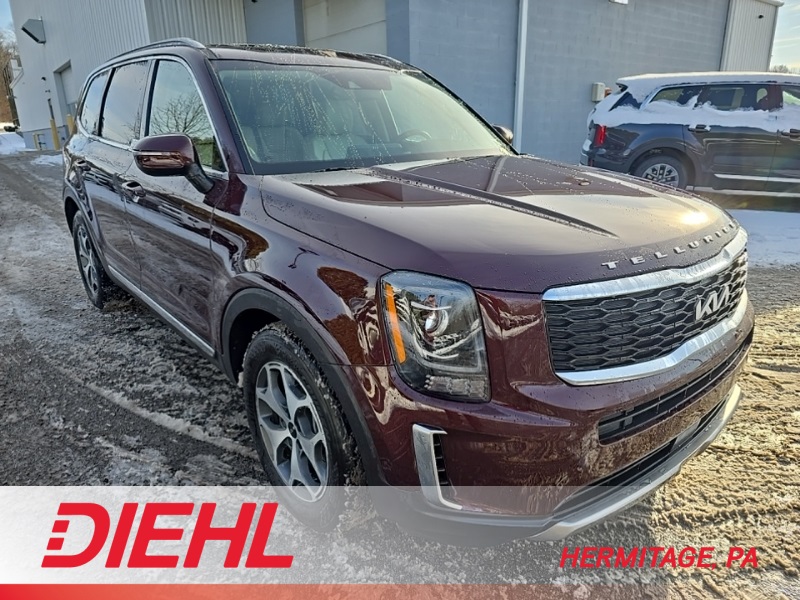2022 Kia Telluride EX's photo