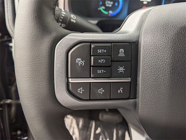 2025 Ford F-150 Lightning photo 17