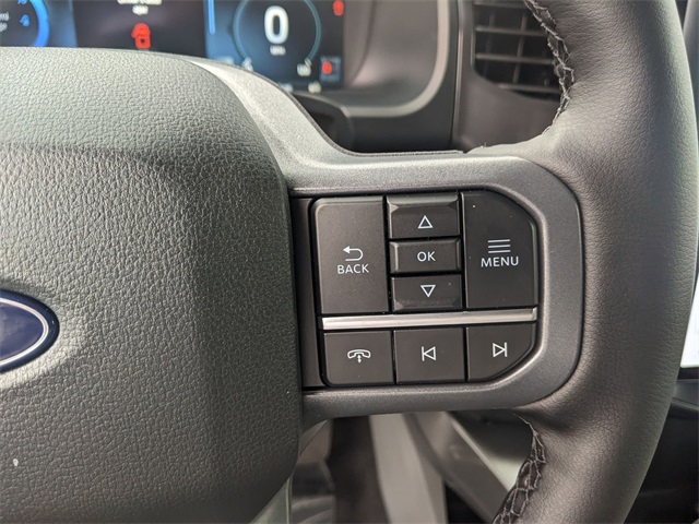 2025 Ford F-150 Lightning photo 18