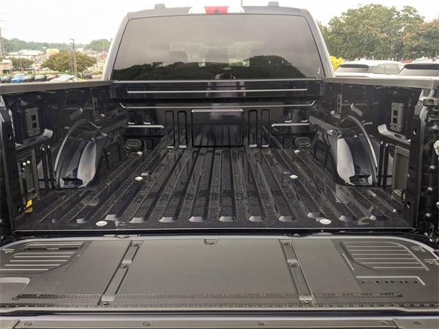 2025 Ford F-150 Lightning photo 29