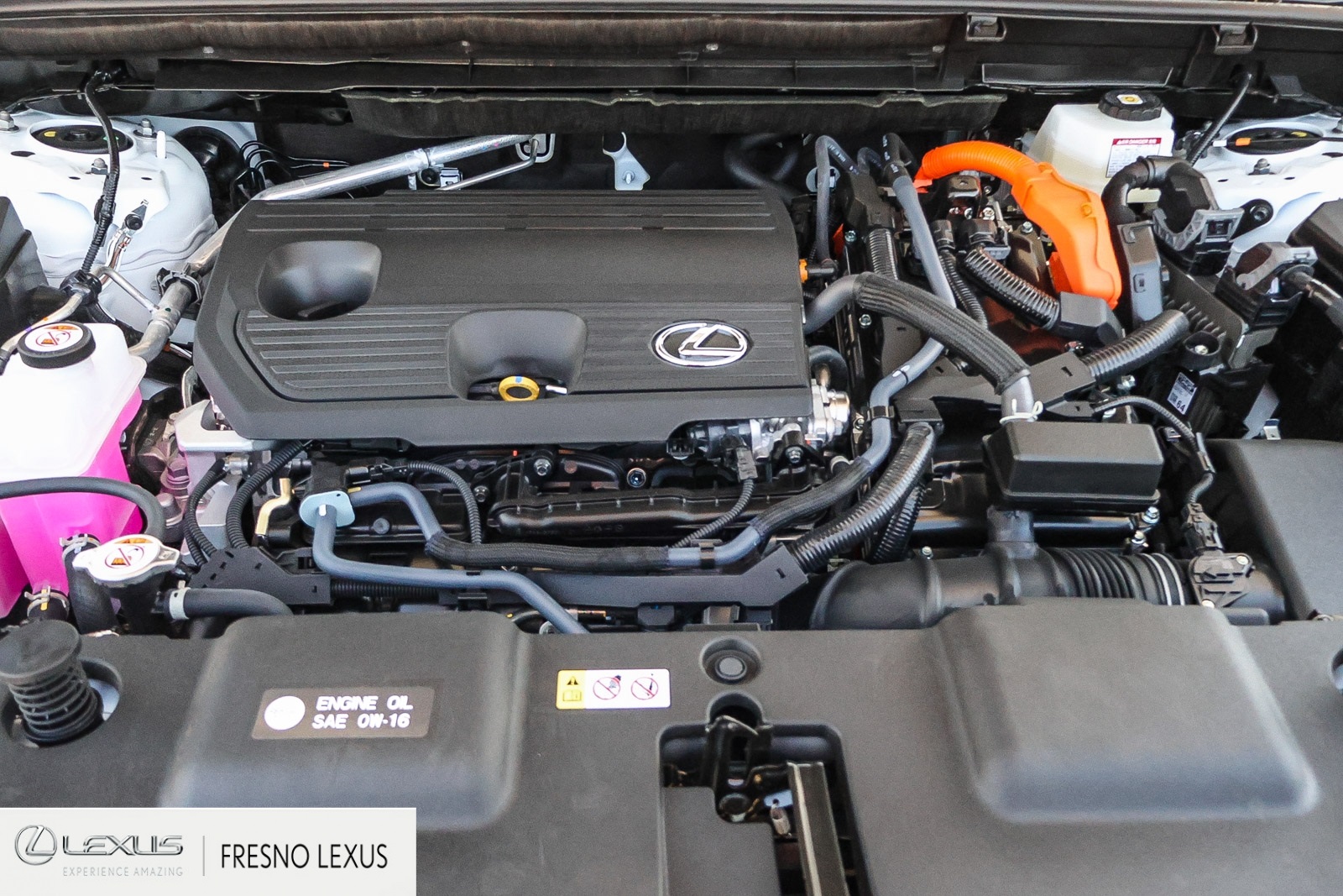 2026 Lexus NX 350h Premium AWD photo 11
