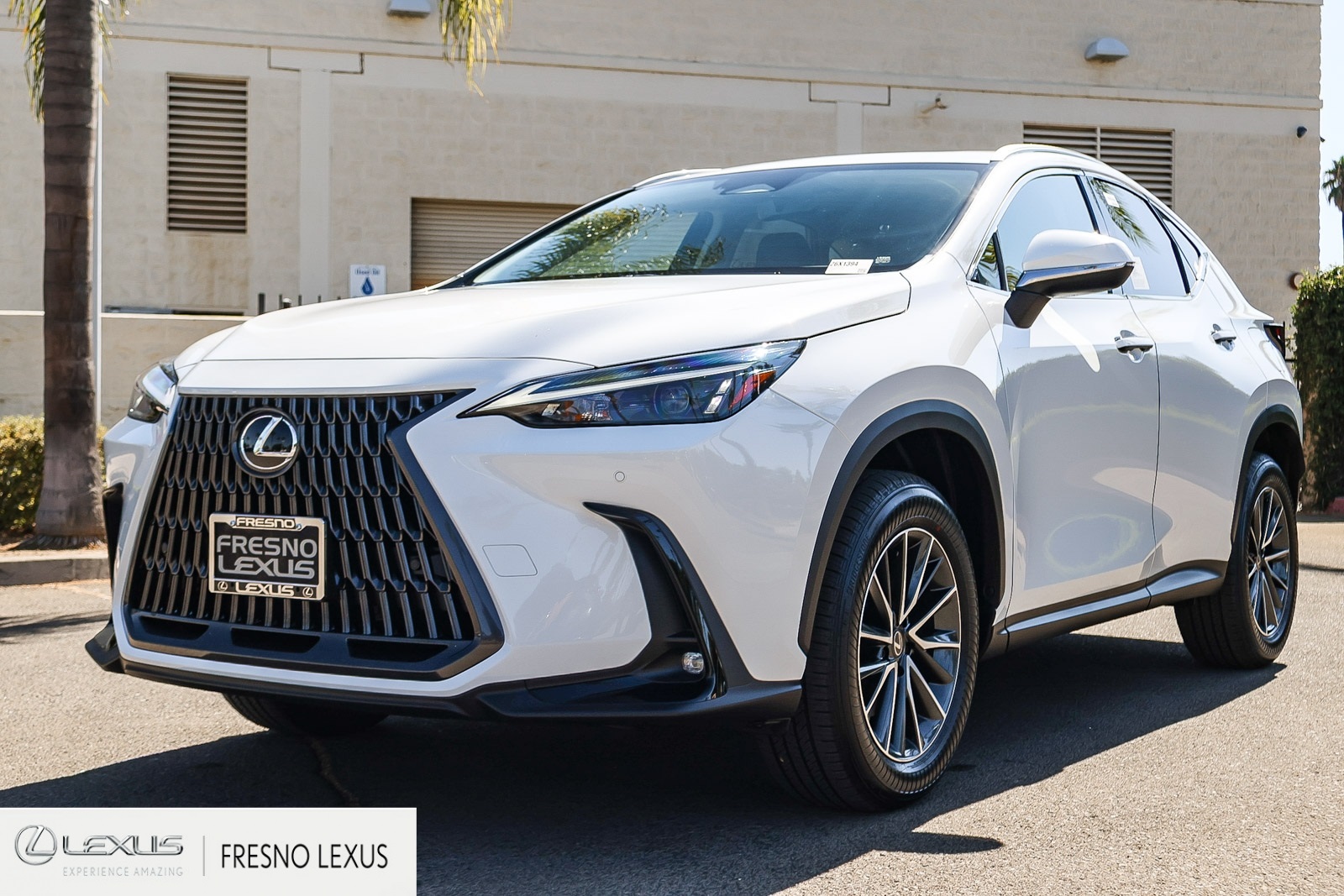 2026 Lexus NX 350h Premium AWD photo 3