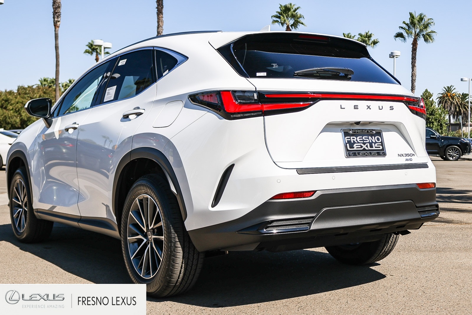2026 Lexus NX 350h Premium AWD photo 4